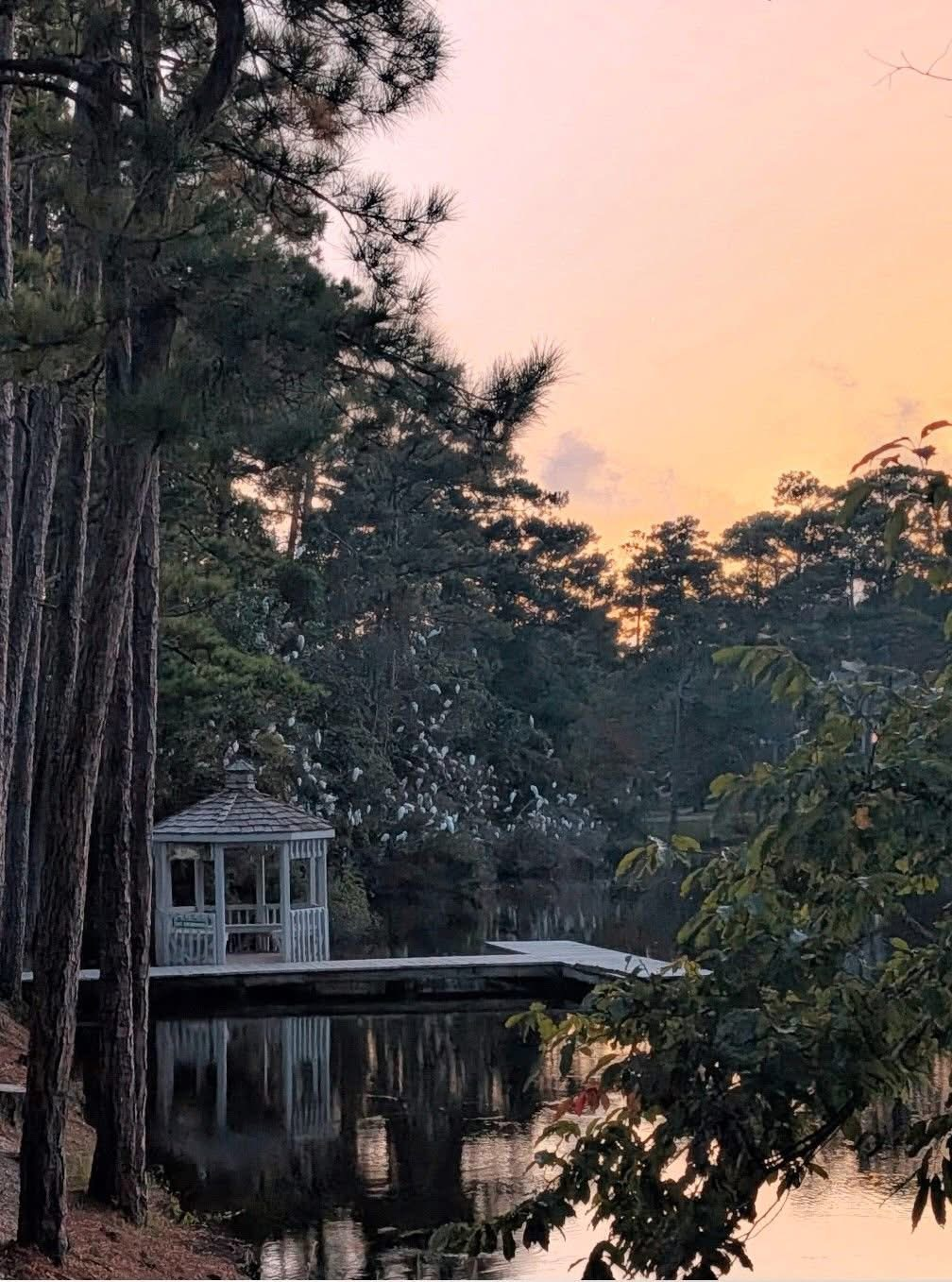 Winding Creek community