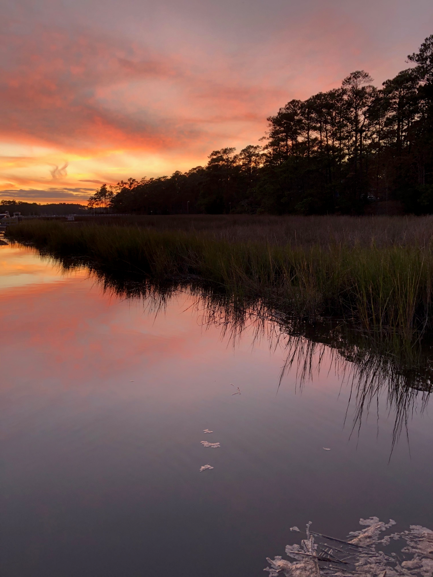 Winding Creek at dusk
